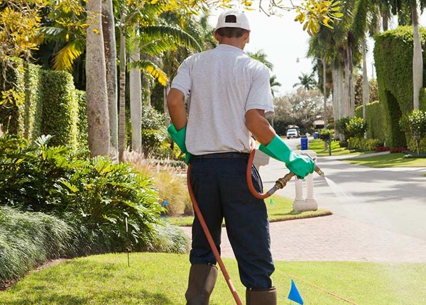 About Somers Point NJ Pest Control Pros